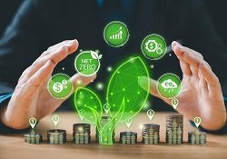 Transparency ingroup